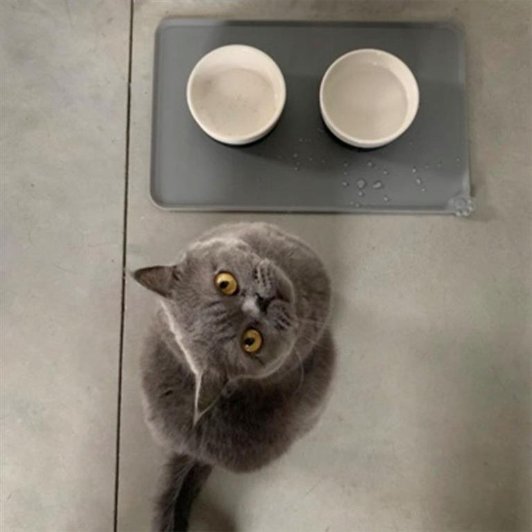 Σουπλά αδιάβροχο για τροφή και νερό γάτας