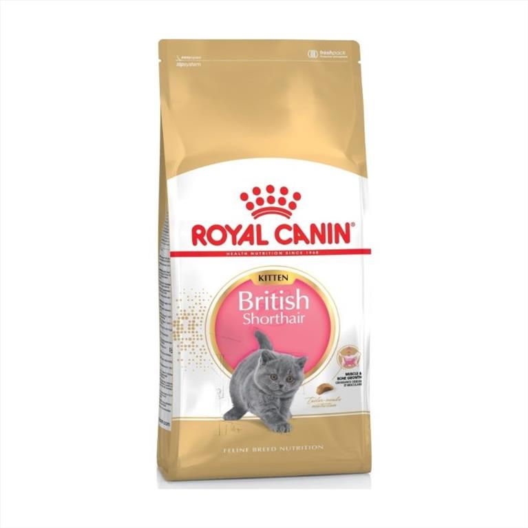 Royal Canin Kitten Brit Shorthair 2kg