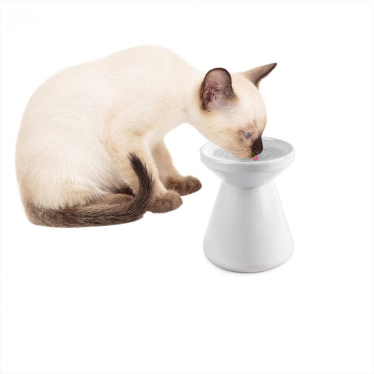 AFP Υπερυψωμένο Μπολ για νερό