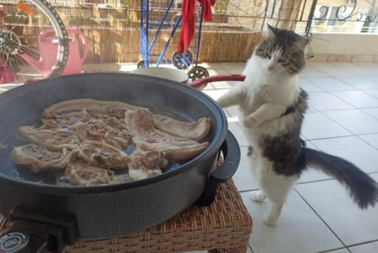 Τσικνοπέμπτη Special Menu