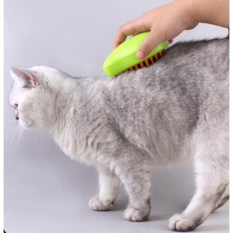 Βούρτσα Ατμού Γάτας