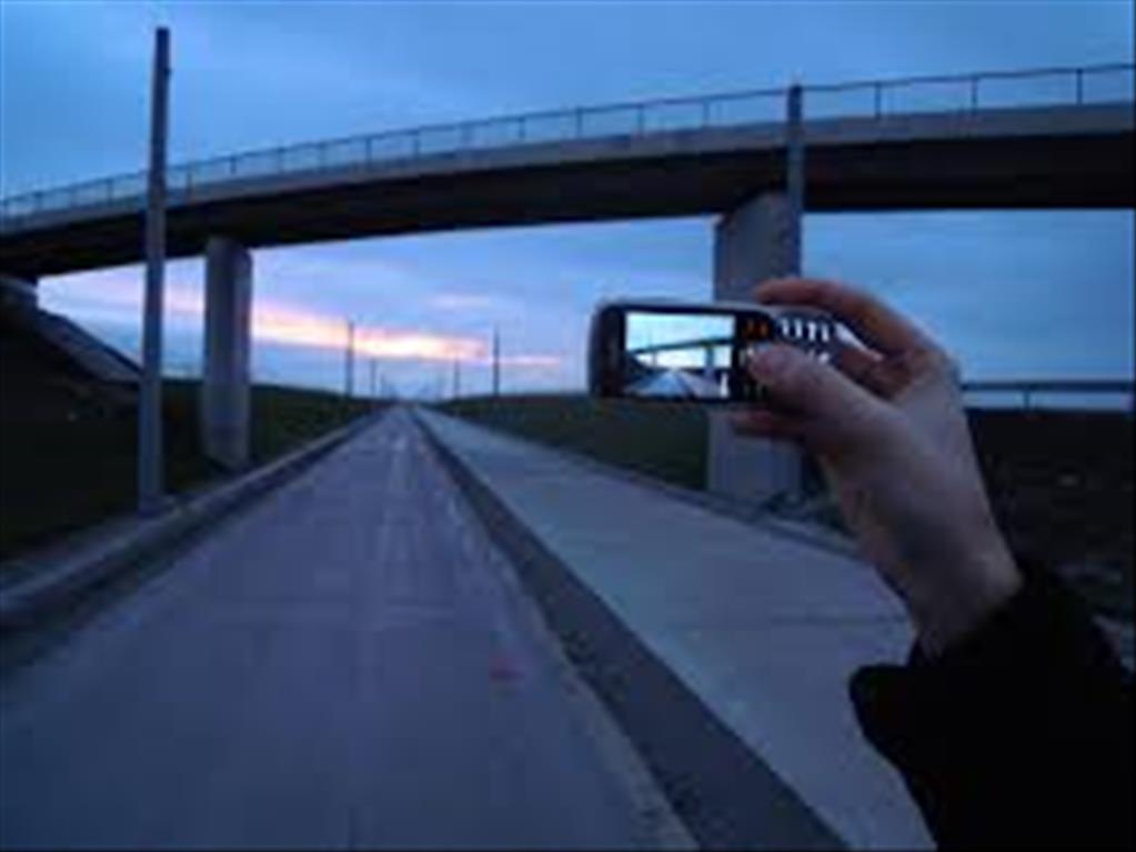 Naturea Lands Cat & Kitten 350gr