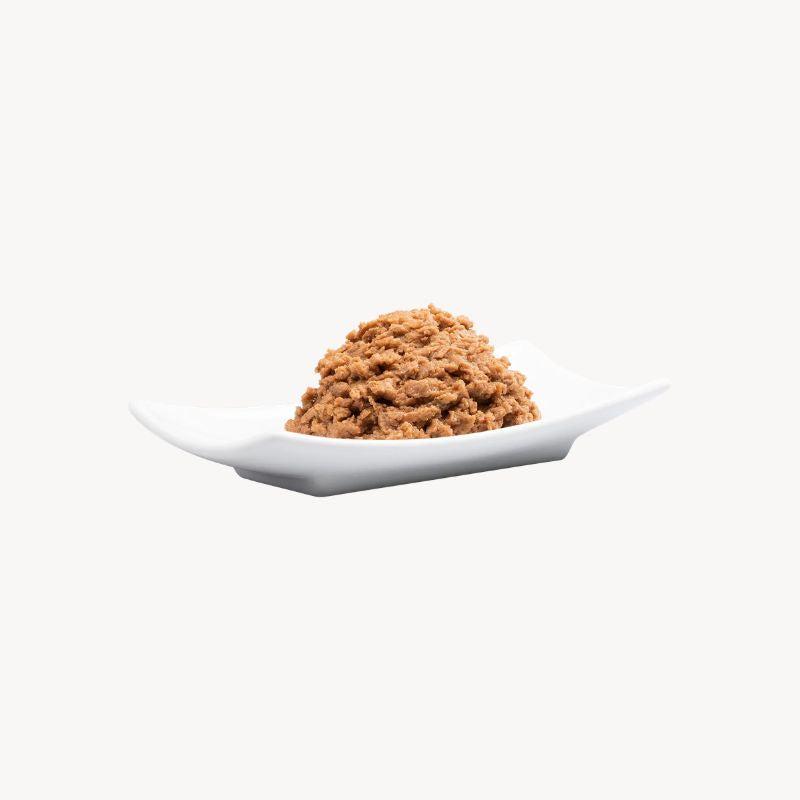 Catz Finefood Bio Γαλοπούλα Κονσέρβα 200gr