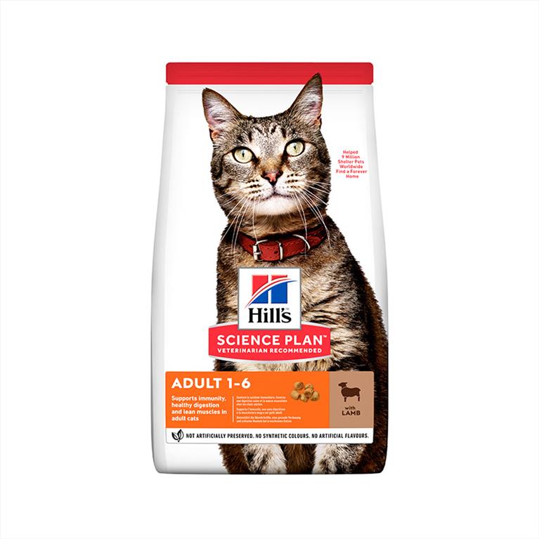 Hill's SPl Adult Cat Αρνί & Ρύζι 1.5kg