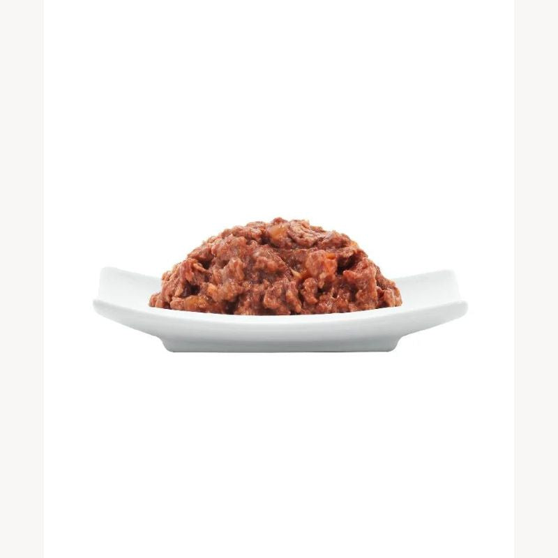 Catz Finefood Bio No 509 Βιολογικό Χοιρινό 85gr
